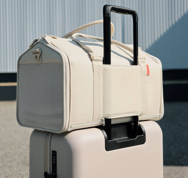 6 Best Airline Approved Cat Carriers in 2024 tuft paw