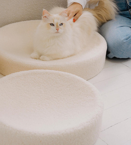 Best cat bed hotsell