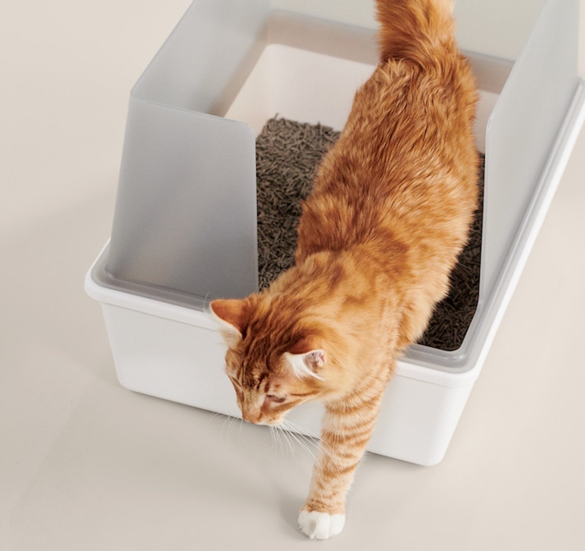 The 5 Best Cat Litter Mat Choices To Reduce Litter Tracking