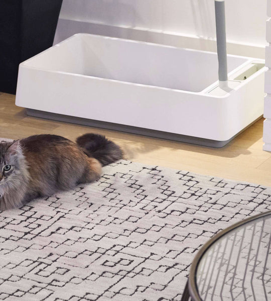 5 Best Cat Litter Boxes to Prevent Tracking in 2024 – tuft + paw