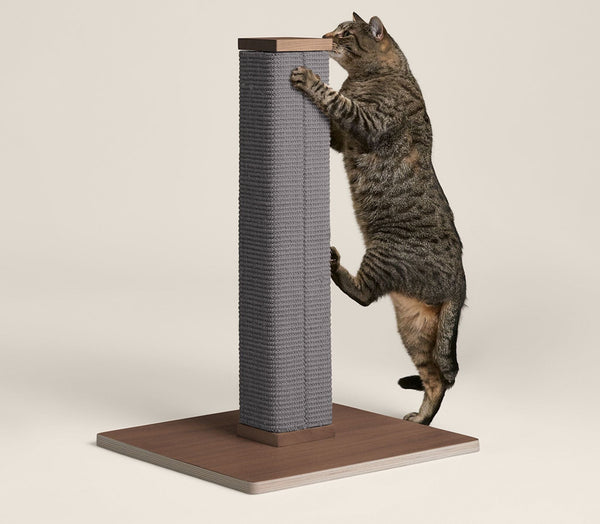 Best type of scratching post for cats hotsell