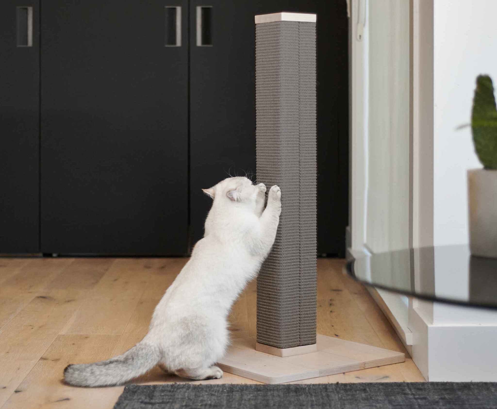 5 Best Tall Scratching Posts for Large Cats in 2024 tuft paw