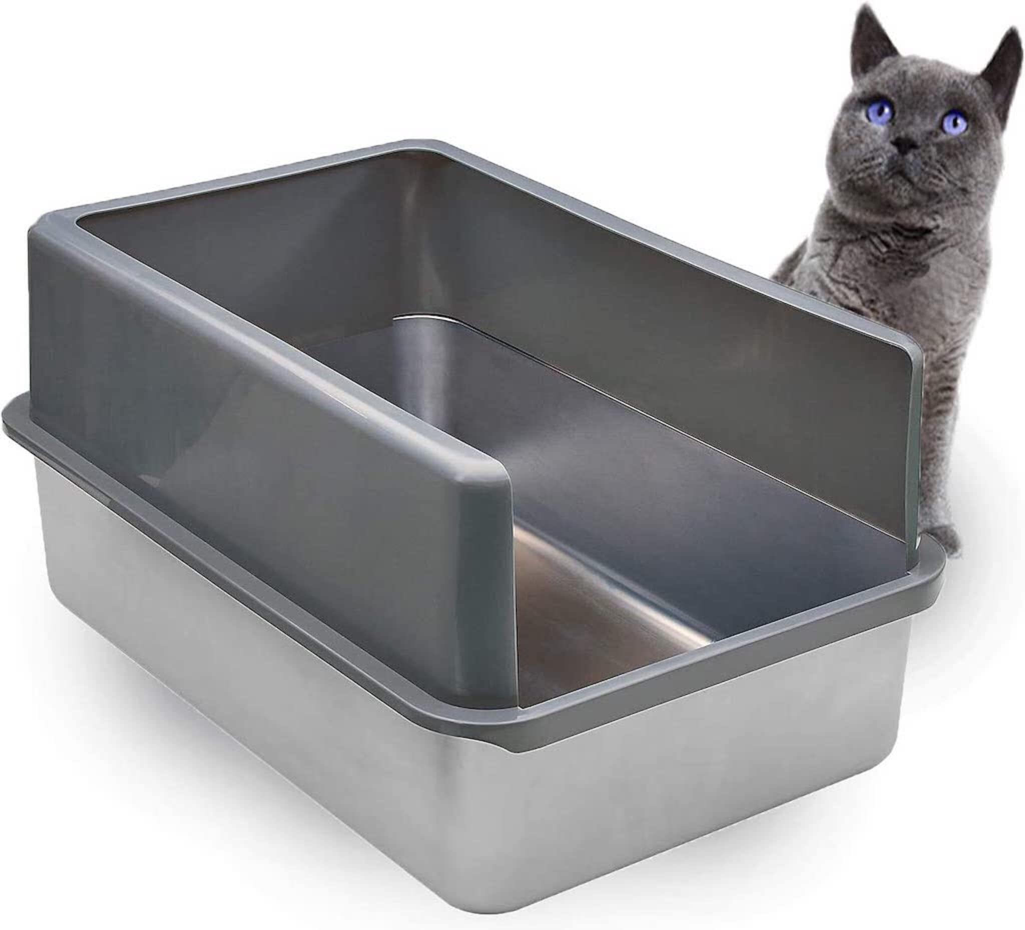 Cat pee sticking to litter box best sale