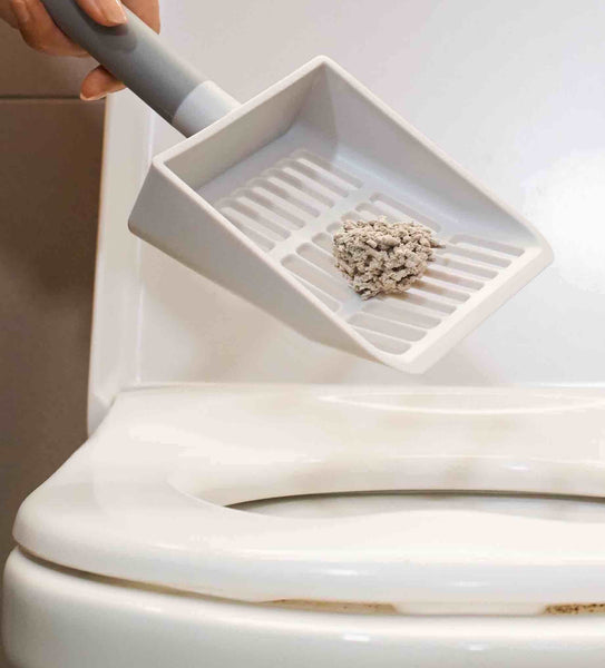 Can you flush kitty litter down the toilet best sale