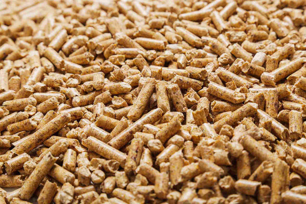 Horse Bedding Pellets for Cat Litter Does It Work tuft paw