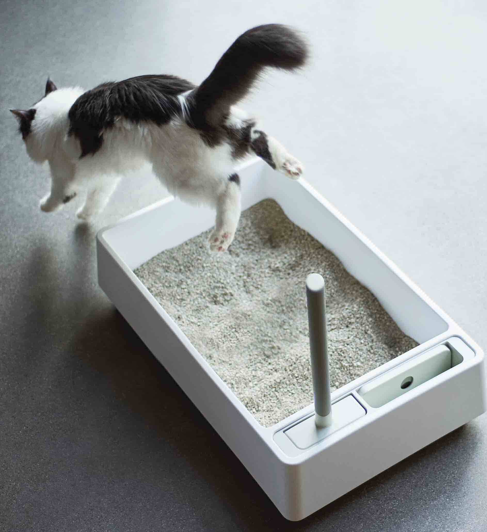 5 Best Cat Litter Boxes to Prevent Tracking in 2024 – tuft + paw