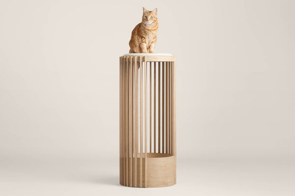 Cylinder cat tower best sale