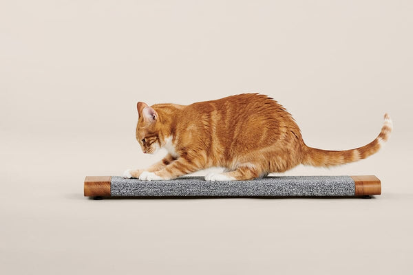 Horizontal cat hot sale scratching post