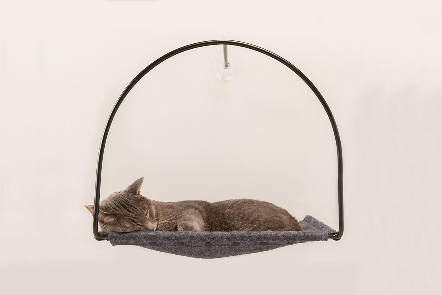 DIY Cat Perch - Hanging Window Basket