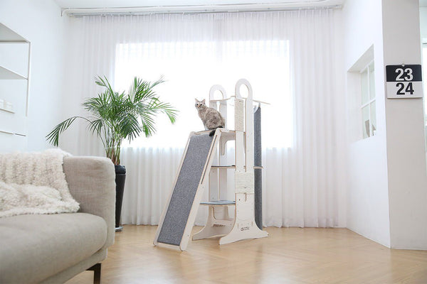 Top rated cat trees sale