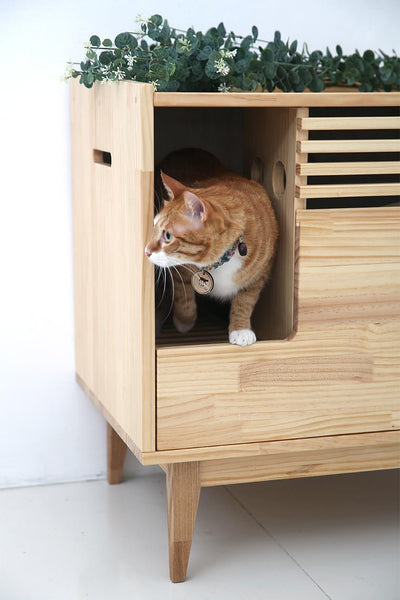 Cat Litter Boxes, Pans & Trays - Cat Litter Box Furniture