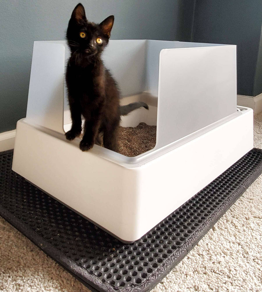 The 5 Best Cat Litter Mats In 2024: Unbiased Review 