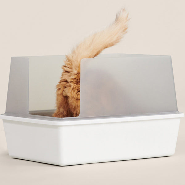 Best Modern Cat Litter Boxes Of 2024 Tuft Paw   Blog Hero BestModernLitterBoxes 699a7dc4 8a04 4124 85cc 2df754e2fc95 Grande 