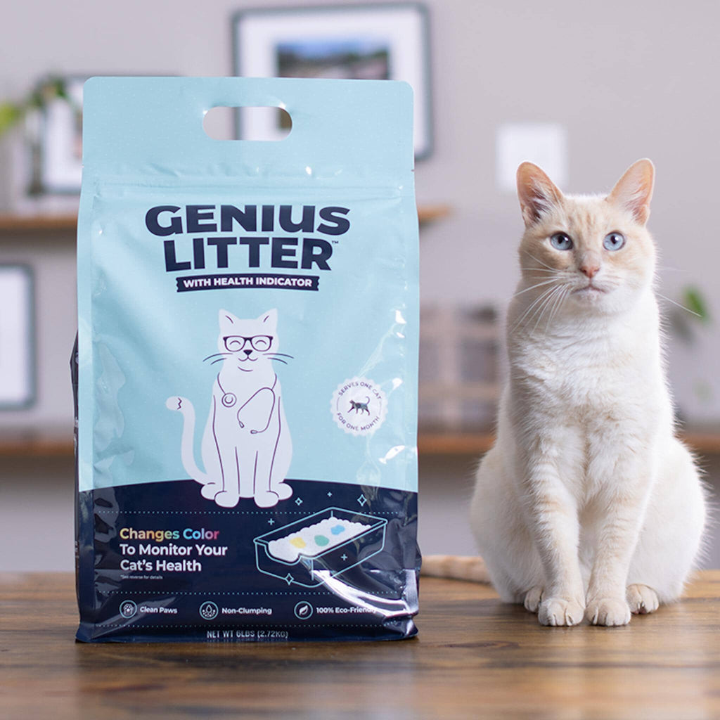 Cat litter outlet ratings