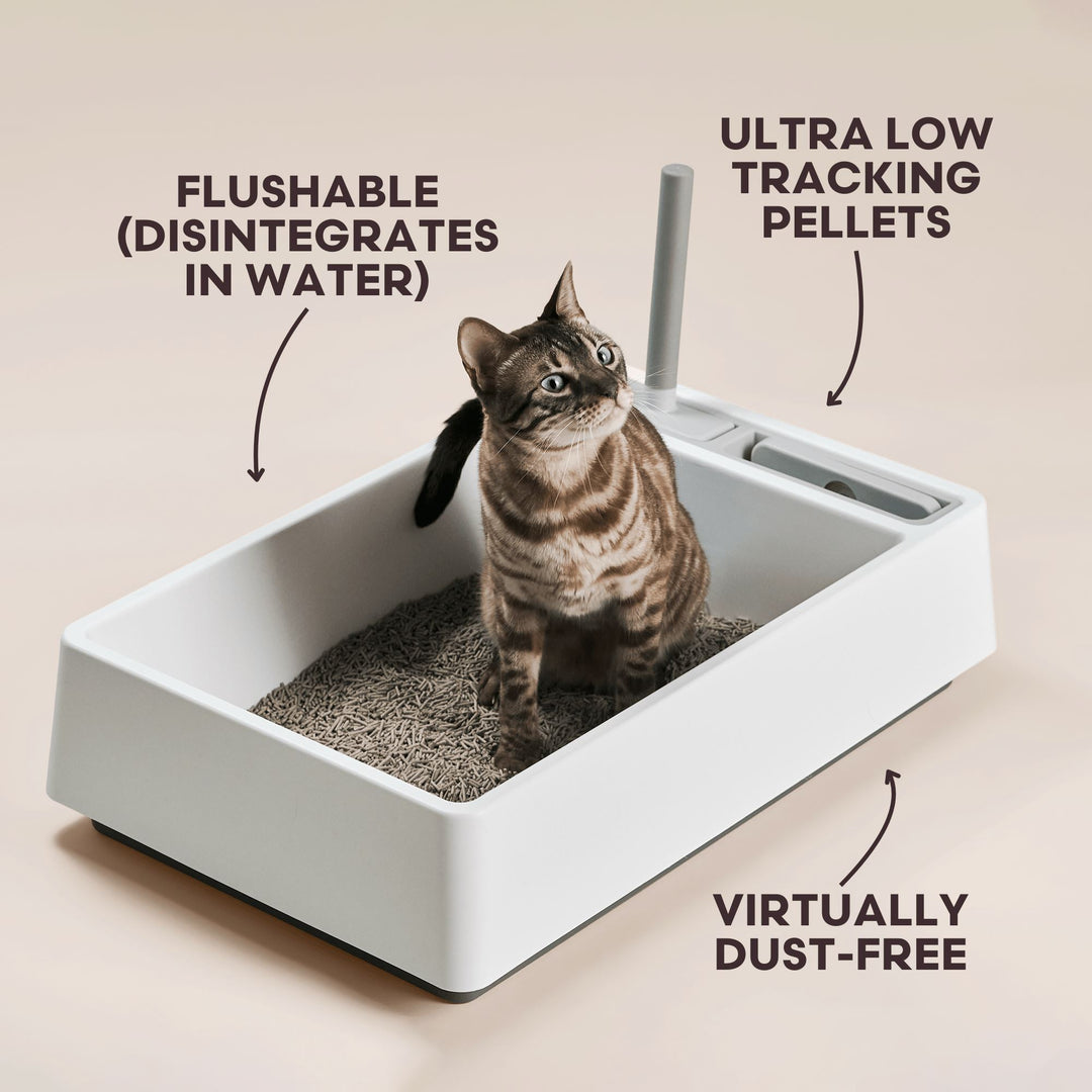 Cat sitting in a kitty litter box with descriptions of the litter's features.