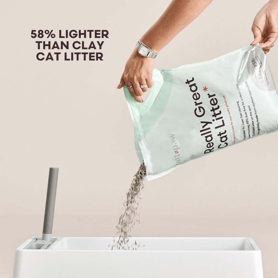 Pouring lightweight cat litter from a green bag into a litter box.